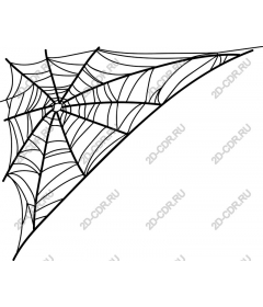  A complex web