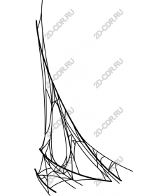  A complex web