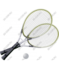  Tennis racket Duo