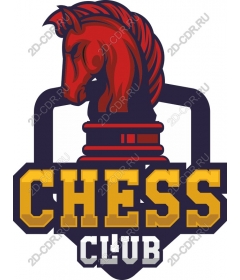 Dynamic chess club - the Red knight