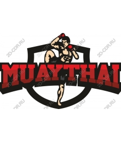 Dynamic Muay Thai fighter