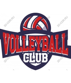 Volleyball club