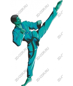 Dynamic kick martial arts