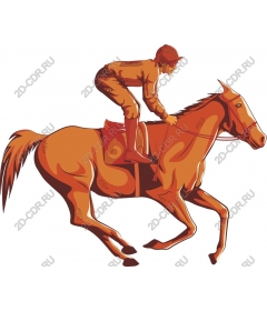 The dynamics of race horses and jockeys