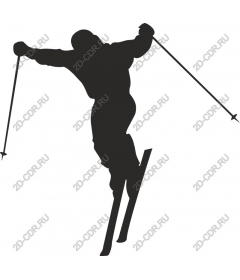 Dynamic skier