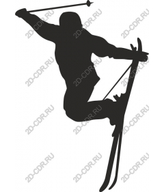 Dynamic skier