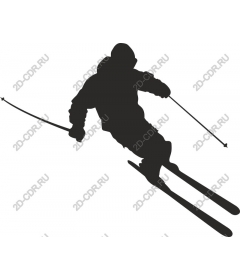 Dynamic skier