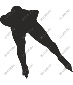 Dynamic skater