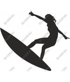  Surfer