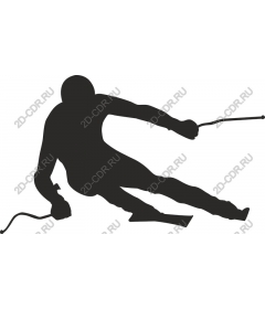 Dynamic skier
