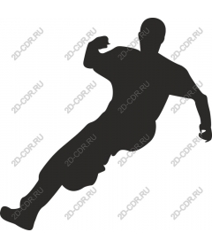  The athlete in motion