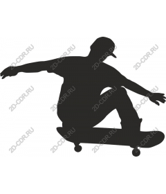  Skateboarder