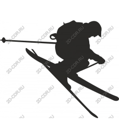 Dynamic skier