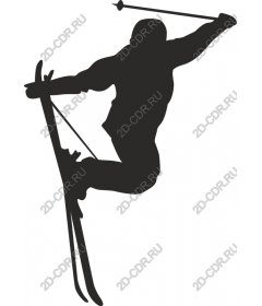 Dynamic skier