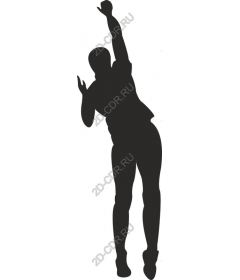 Dynamic sports figure