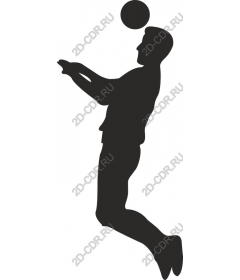 The action of a volleyball player