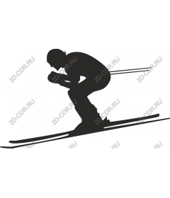 Dynamic skier