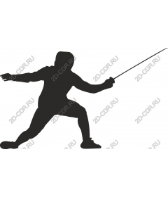 Dynamic swordsman