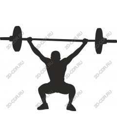 Dynamic lifter