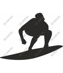  Surfer