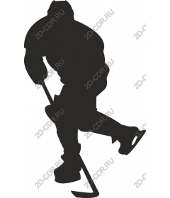 The movement of hockey player