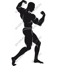 Dynamic muscular figure