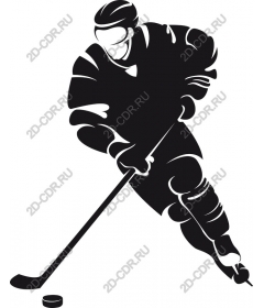 Dynamic hockey player