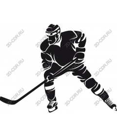 Dynamic hockey player