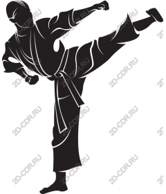  Kick in martial arts