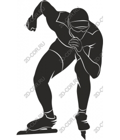 Dynamic skater