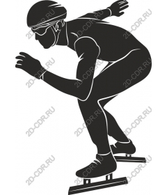 Dynamic skater