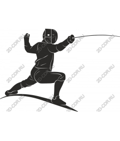 Dynamic swordsman