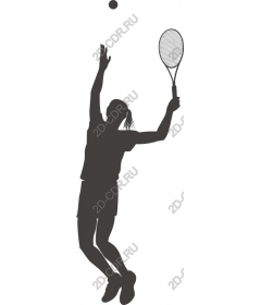 Fast feeds tennis player