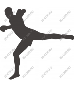  Martial arts