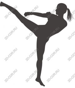 Dynamic female martial arts master