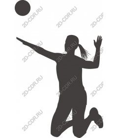 Dynamic volleyball player