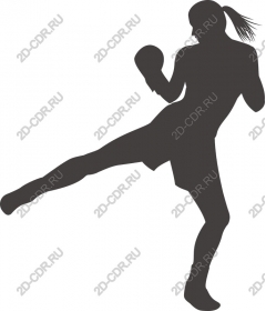 Dynamic kickboxer