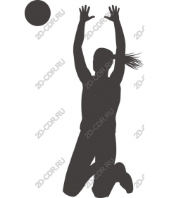 Dynamic volleyball player