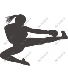Dynamic female martial arts master