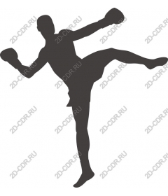 Dynamic Boxer