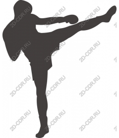 Dynamic martial arts