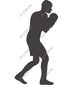 Dynamic Boxing