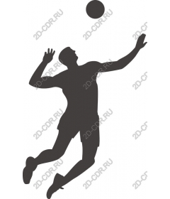 Dynamic volleyball player
