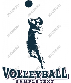 Dynamic volleyball