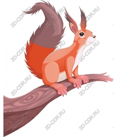  Adorable squirrel on a tree branch