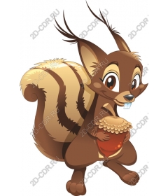 Funny squirrel with acorn