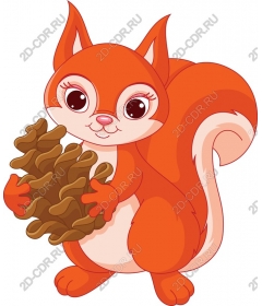  Charming orange squirrel