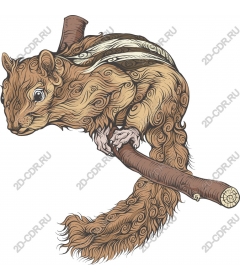  Fancy squirrel