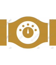  Championship belt