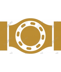 Чемпионский пояс